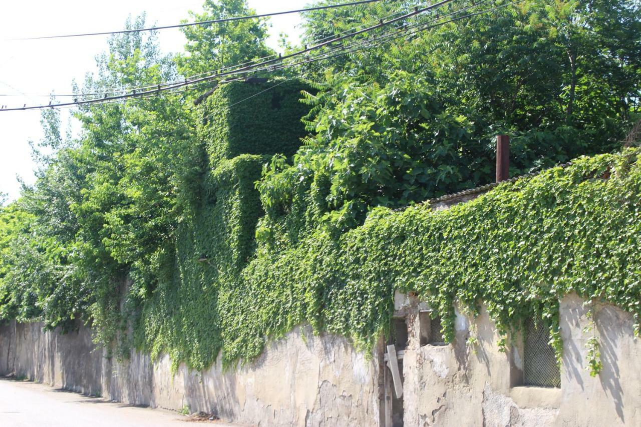 Zarzma Hotel Kutaisi Exterior photo
